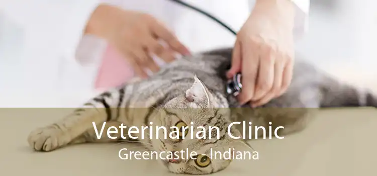 Veterinarian Clinic Greencastle - Indiana