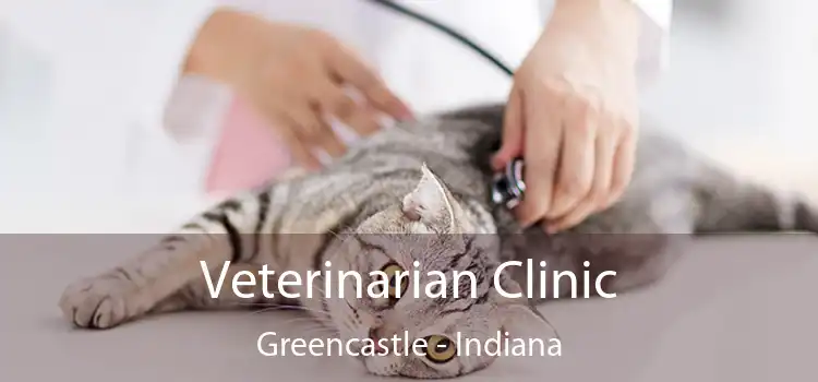 Veterinarian Clinic Greencastle - Indiana