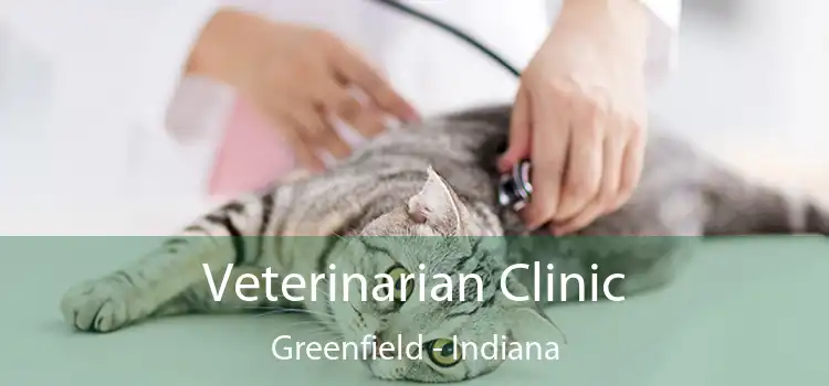 Veterinarian Clinic Greenfield - Indiana