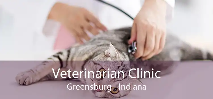 Veterinarian Clinic Greensburg - Indiana