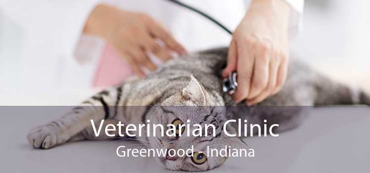 Veterinarian Clinic Greenwood - Indiana