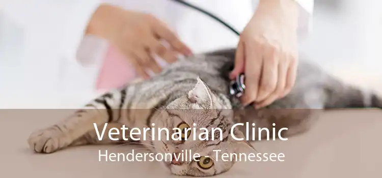 Veterinarian Clinic Hendersonville - Tennessee