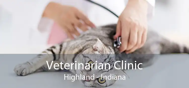 Veterinarian Clinic Highland - Indiana