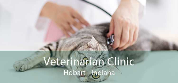 Veterinarian Clinic Hobart - Indiana