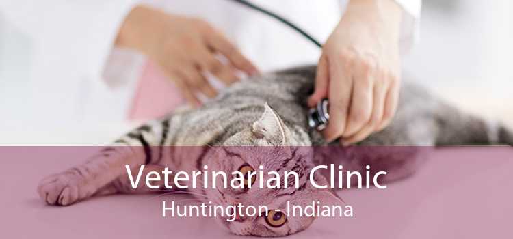 Veterinarian Clinic Huntington - Indiana
