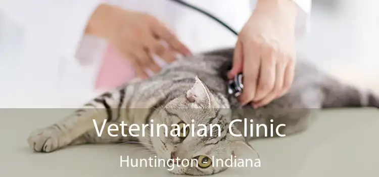 Veterinarian Clinic Huntington - Indiana