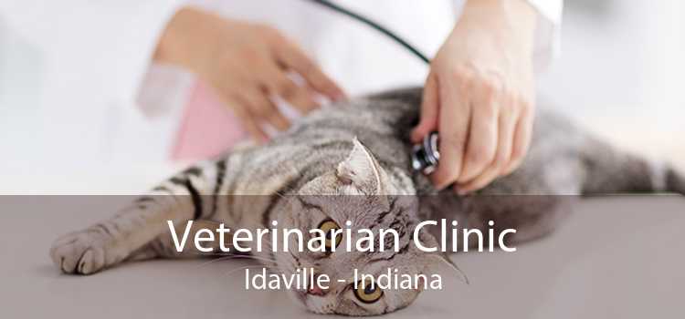 Veterinarian Clinic Idaville - Indiana