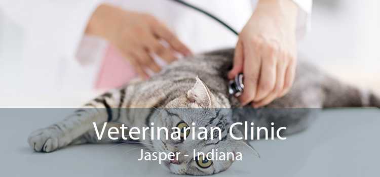 Veterinarian Clinic Jasper - Indiana