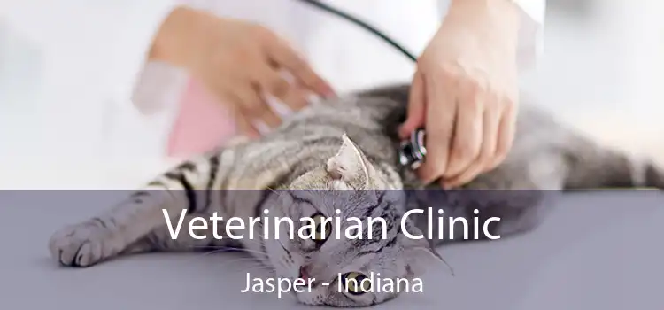 Veterinarian Clinic Jasper - Indiana