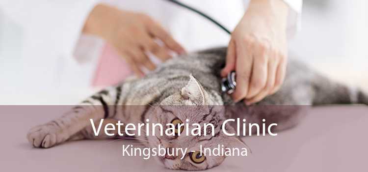 Veterinarian Clinic Kingsbury - Indiana