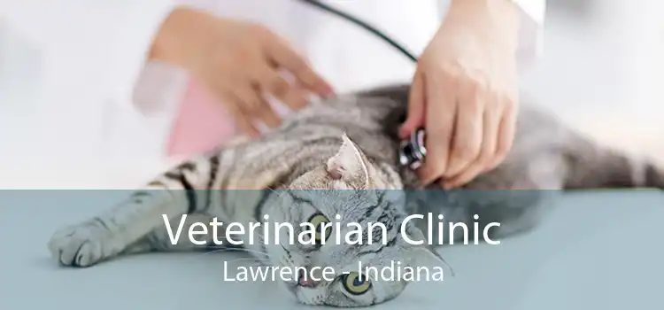 Veterinarian Clinic Lawrence - Indiana