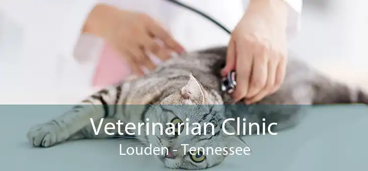 Veterinarian Clinic Louden - Tennessee