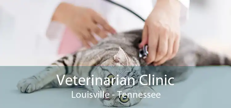 Veterinarian Clinic Louisville - Tennessee