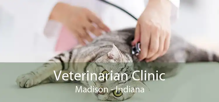 Veterinarian Clinic Madison - Indiana