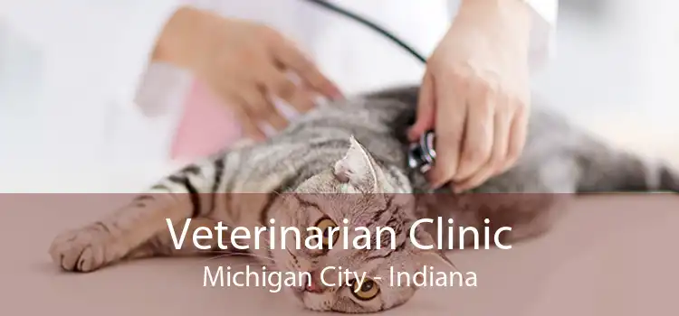 Veterinarian Clinic Michigan City - Indiana