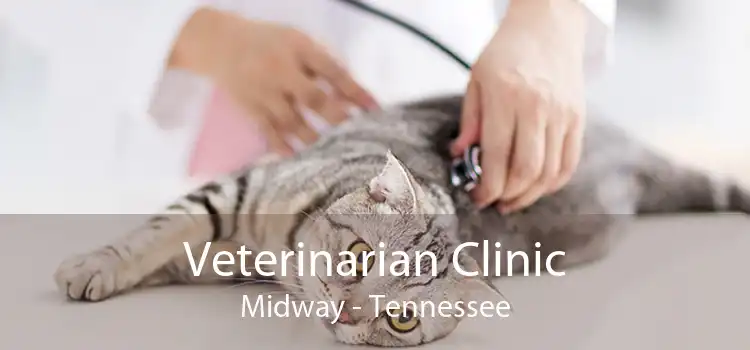 Veterinarian Clinic Midway - Tennessee