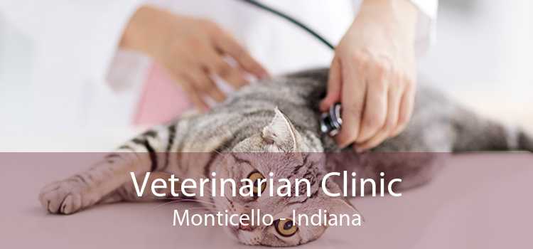 Veterinarian Clinic Monticello - Indiana