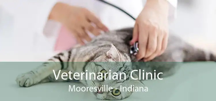 Veterinarian Clinic Mooresville - Indiana