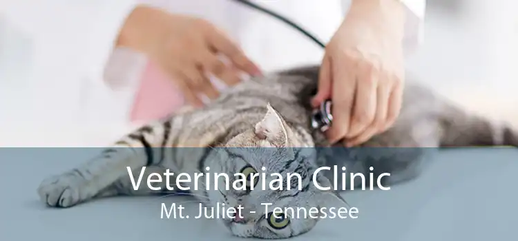 Veterinarian Clinic Mt. Juliet - Tennessee