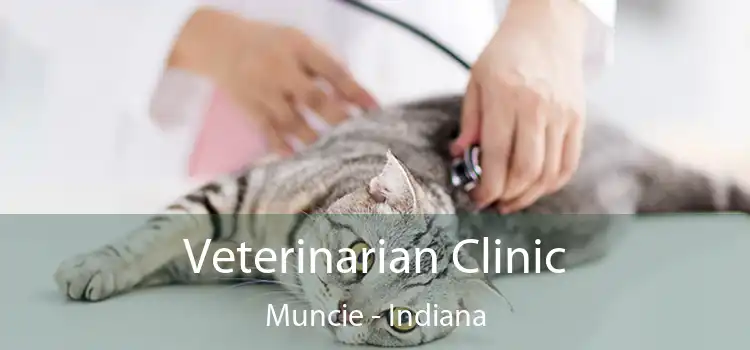 Veterinarian Clinic Muncie - Indiana