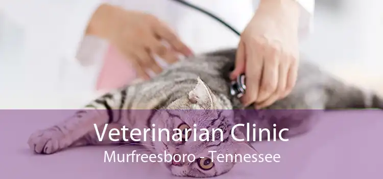 Veterinarian Clinic Murfreesboro - Tennessee