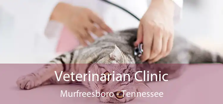 Veterinarian Clinic Murfreesboro - Tennessee