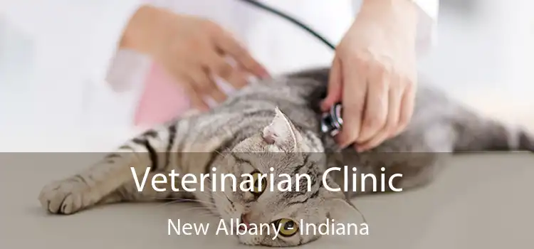 Veterinarian Clinic New Albany - Indiana