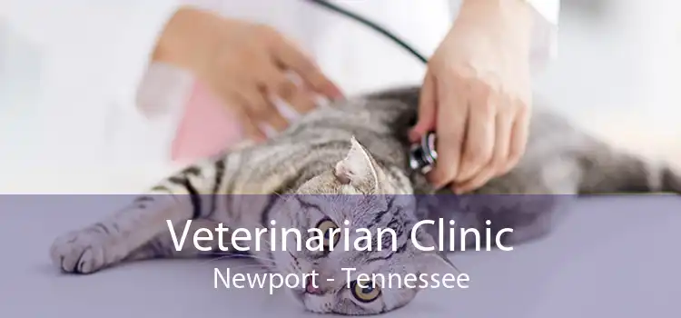 Veterinarian Clinic Newport - Tennessee