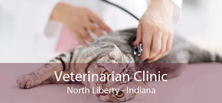 Veterinarian Clinic North Liberty - Indiana