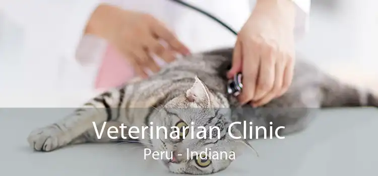 Veterinarian Clinic Peru - Indiana