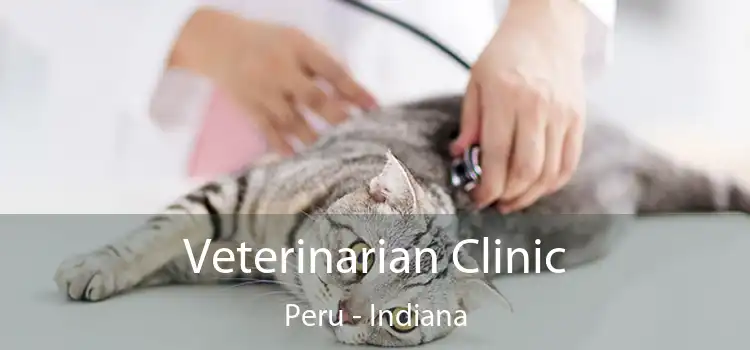 Veterinarian Clinic Peru - Indiana