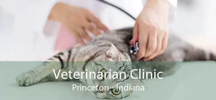 Veterinarian Clinic Princeton - Indiana
