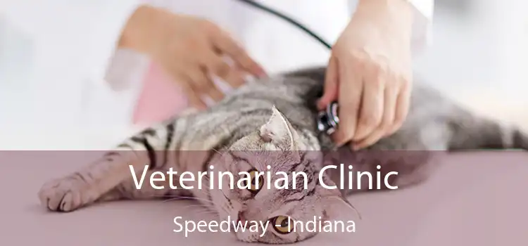 Veterinarian Clinic Speedway - Indiana