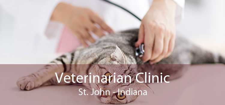 Veterinarian Clinic St. John - Indiana
