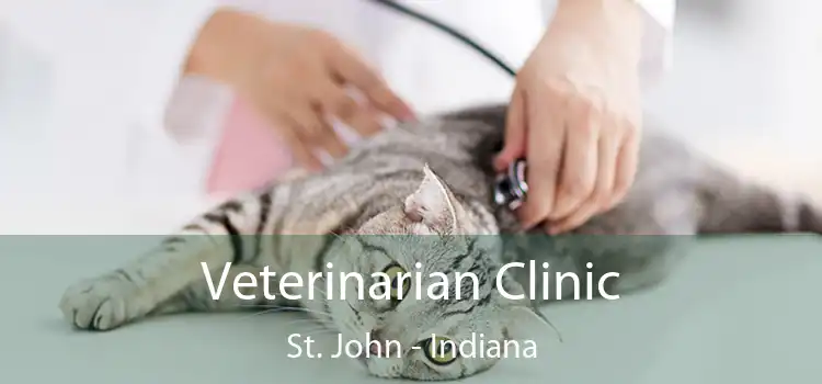 Veterinarian Clinic St. John - Indiana