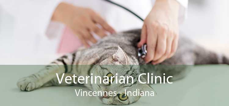 Veterinarian Clinic Vincennes - Indiana