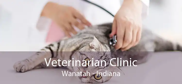 Veterinarian Clinic Wanatah - Indiana