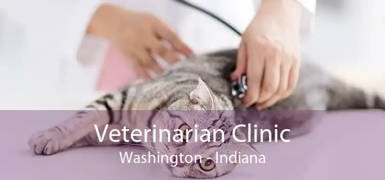 Veterinarian Clinic Washington - Indiana