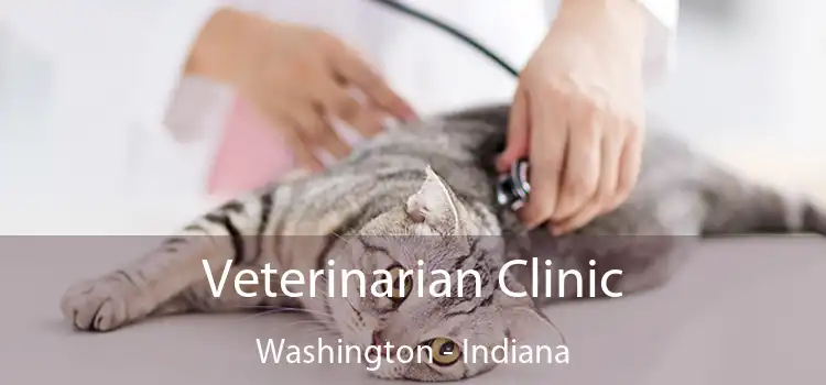 Veterinarian Clinic Washington - Indiana