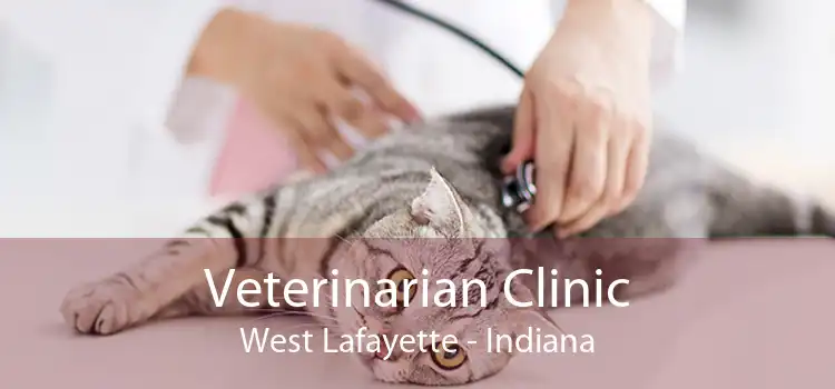 Veterinarian Clinic West Lafayette - Indiana