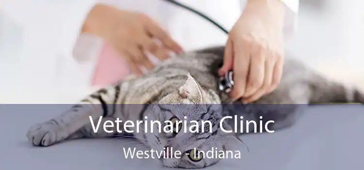 Veterinarian Clinic Westville - Indiana