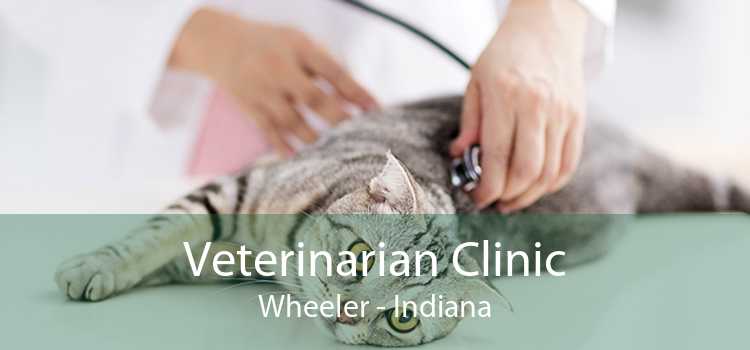 Veterinarian Clinic Wheeler - Indiana