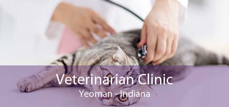 Veterinarian Clinic Yeoman - Indiana