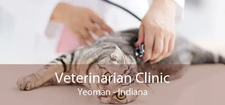 Veterinarian Clinic Yeoman - Indiana