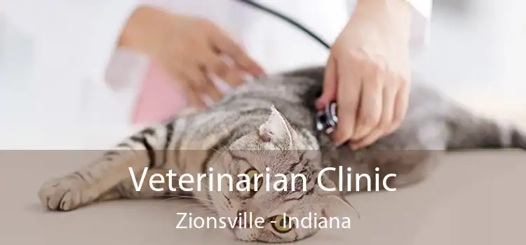 Veterinarian Clinic Zionsville - Indiana