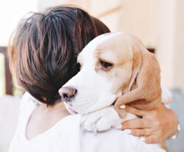 pet euthanasia in Franklin